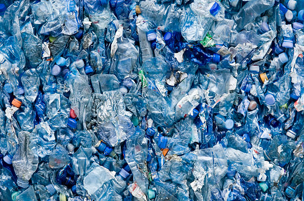 Best Dumpster Rental Services  in Bothell, WA